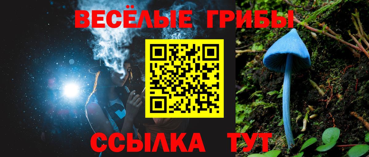 Вышний Волочёк  где найти наркотики  Вход с VPN  Псилоцибиновые грибы Psilocybine cubensis  Галлюциногенные грибы Cubensis 